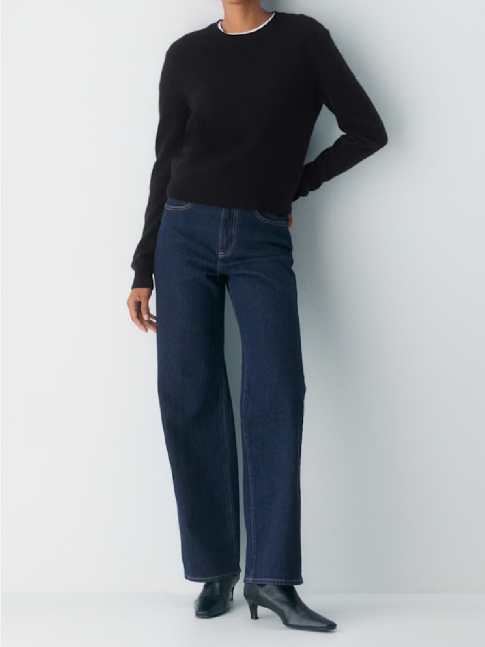 Aritzia Denim Forum Remy Hi-Rise Wide Jean, 28